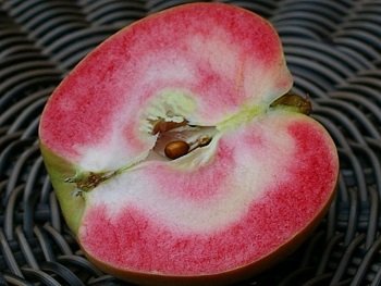 Яблоня Пинк Перл (Pink Pearl apples)