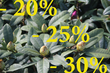 На разные группы растений - разные скидки до 30 процентов!