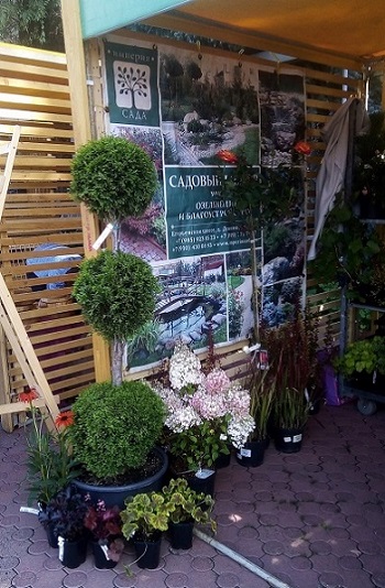 С 26 по 27 июля 2019 года жители и гости Раменского посетили цветущий стенд садового центра «Империя Сада»