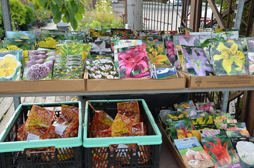 Семена овощей, ягод и других растительных культур в садовом центре «Империя сада»