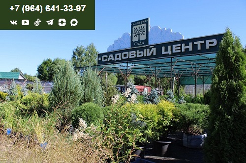 Приглашаем на страницы садового центра «Империя Сада» в соцсетях